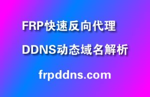 关于frp快速反向代理和ddns动态域名解析详解